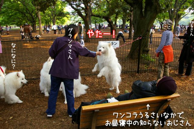 日曜日の白い山脈_c0062832_2045232.jpg