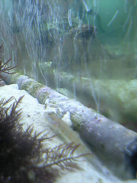 c0108434_2121927.jpg