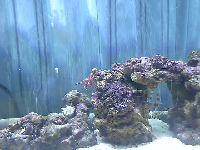 c0108434_21242355.jpg