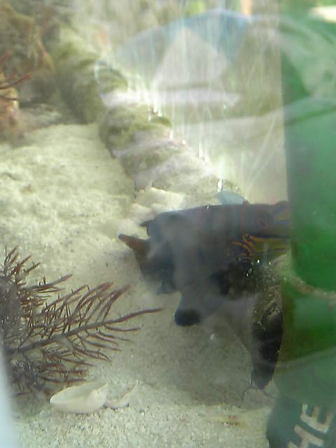 c0108434_21255100.jpg