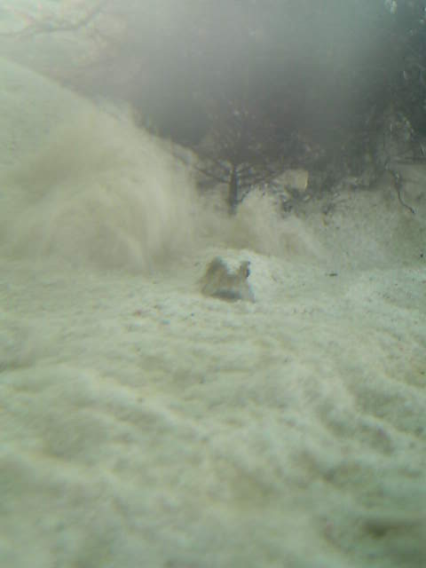 c0108434_2181610.jpg
