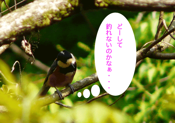 a0056140_21354141.gif