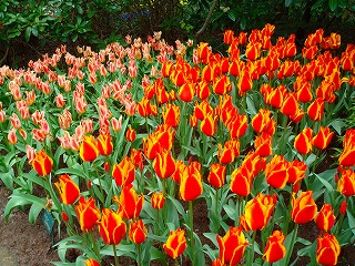 c0153740_21324059.jpg