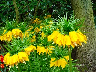 c0153740_21362851.jpg