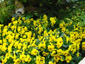 c0141844_05313.jpg