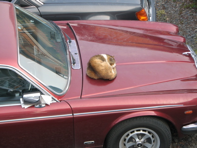 c0141844_06464.jpg