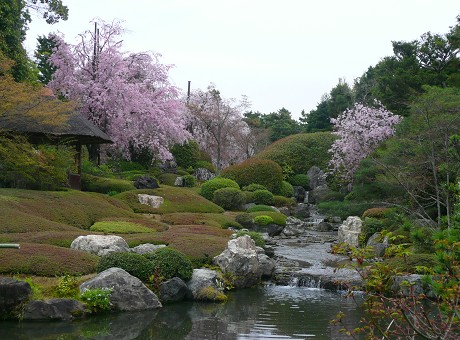 妙心寺退蔵院_c0057946_20192222.jpg