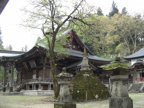 毘沙門様の春_a0084753_1771986.jpg