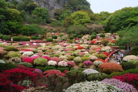 御船山楽園　花まつり　（４月２７日現在）_e0143556_0184643.jpg