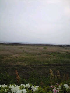 f0063356_20443834.jpg