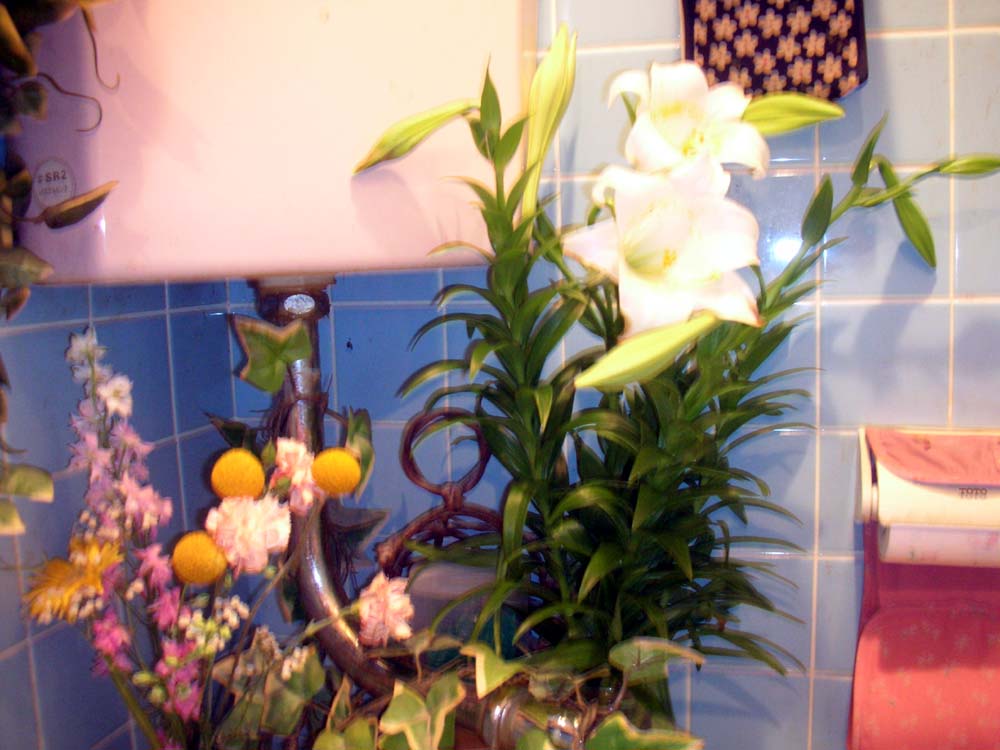 a0084771_128547.jpg
