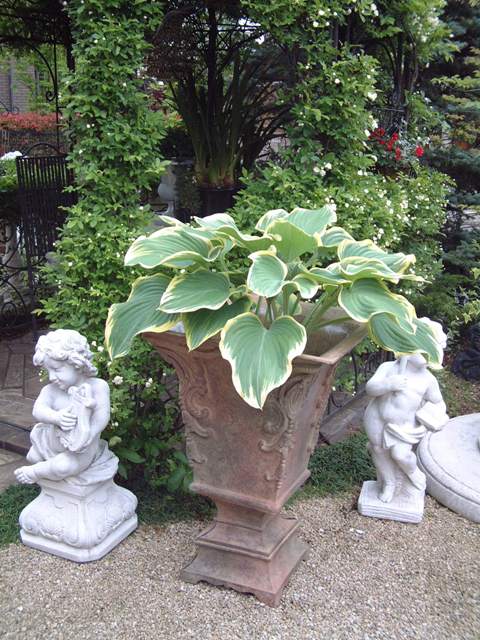 ホワイトカラーのお花で満開です!(レケットの庭)_f0029571_22174671.jpg