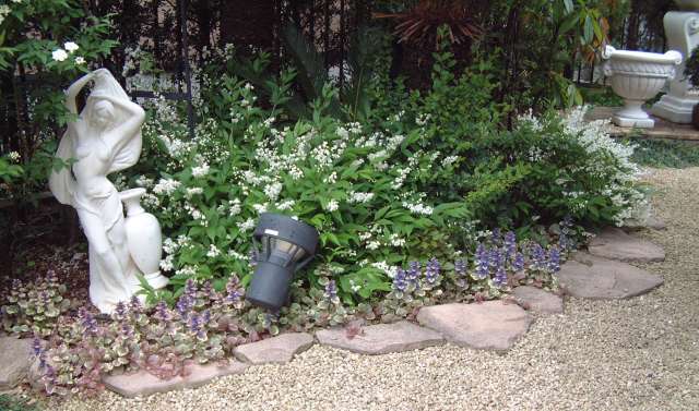 ホワイトカラーのお花で満開です!(レケットの庭)_f0029571_22255972.jpg