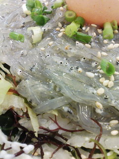 f0112873_0205076.jpg