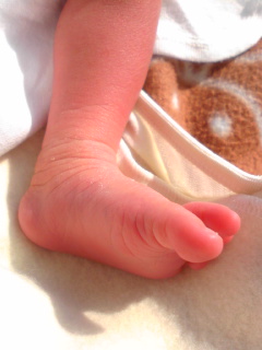 b0008478_14363722.jpg