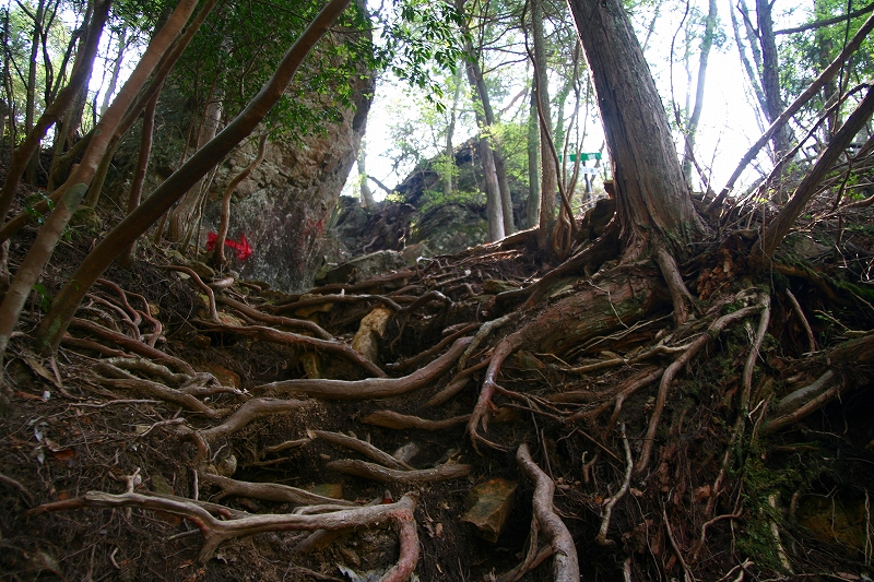 e0024081_20263648.jpg