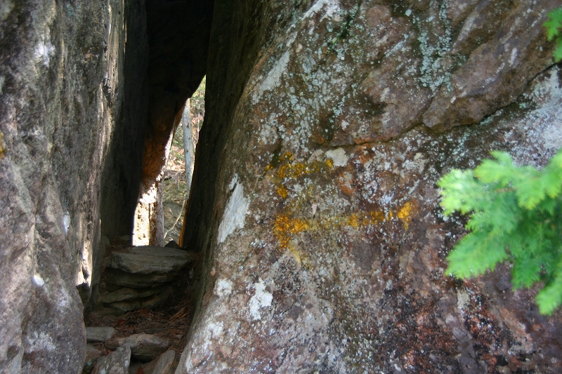 e0024081_20283887.jpg
