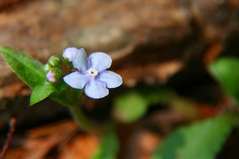 e0024081_20403622.jpg