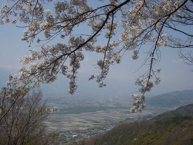 桜満開の光城山_b0112186_224222.jpg