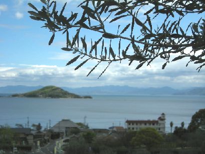 f0106487_0523413.jpg