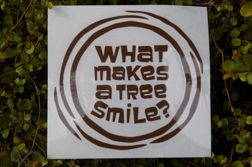 What　makes　a　tree　smile？_b0134291_15502596.jpg