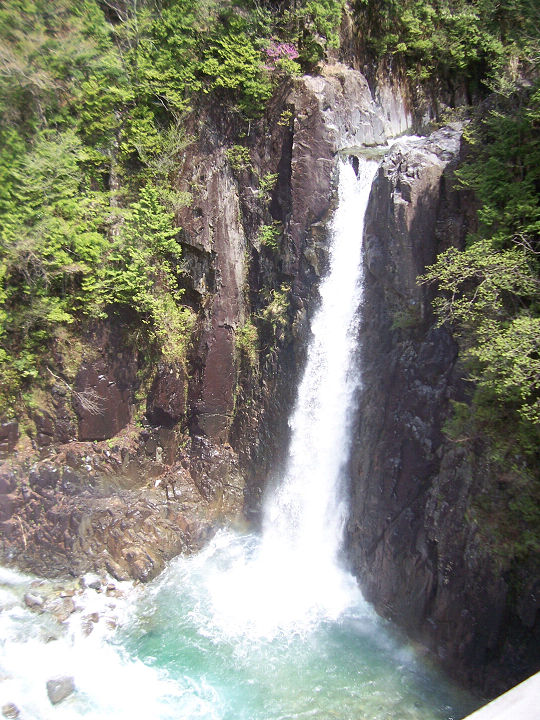 「水と緑の勉強会」_f0073301_15252451.jpg