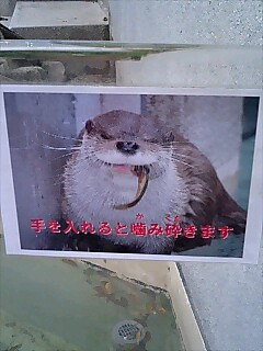 安佐動物公園にて_f0146503_18515145.jpg