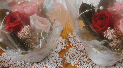 a0081907_11145322.gif