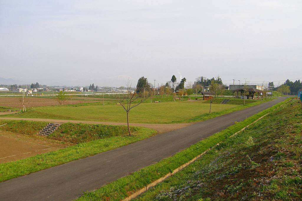 鮮やかな緑よ 明るい緑よ 長岡 夢いっぱい公園 鮮やかな緑よ 明るい緑よ 長岡 夢いっぱい公園