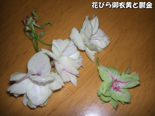 d0070316_50683.jpg