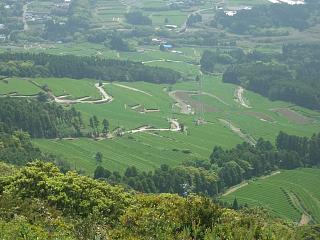 f0010925_206857.jpg