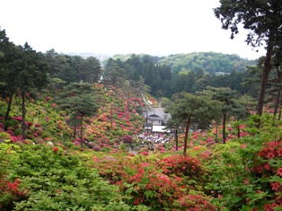 d0132128_124187.jpg