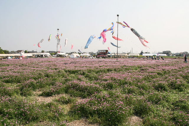 e0064133_19223048.jpg