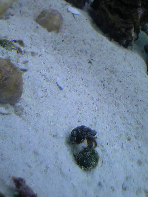 c0108434_21242726.jpg