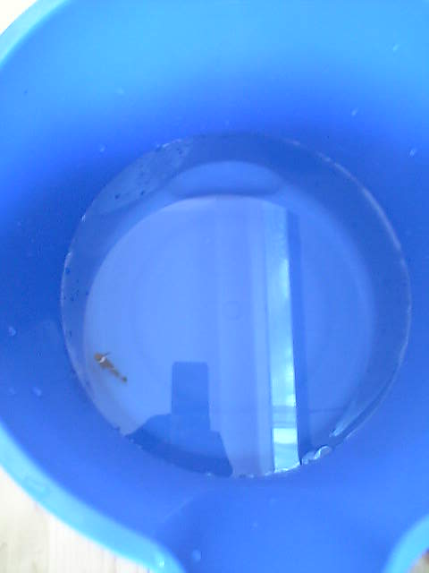 c0108434_21394466.jpg