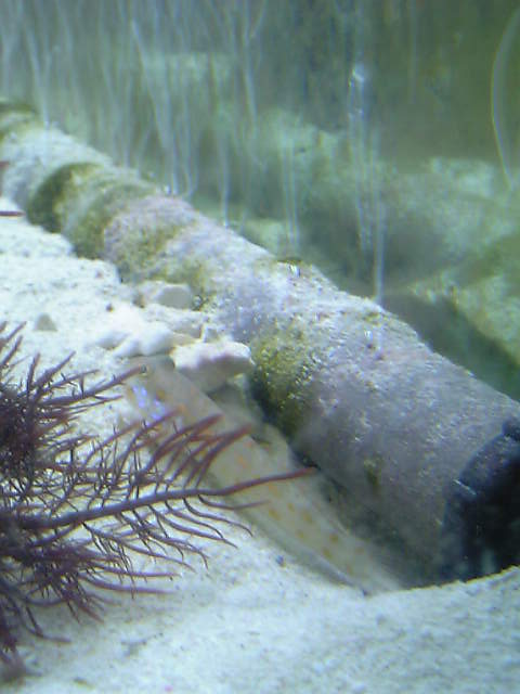 c0108434_21494642.jpg