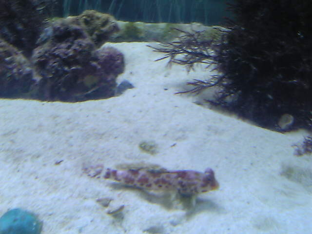 c0108434_21512252.jpg