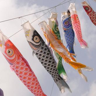 どこ見る?_d0113340_21315319.jpg