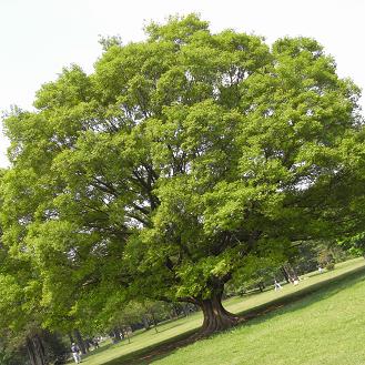 どこ見る?_d0113340_21325083.jpg