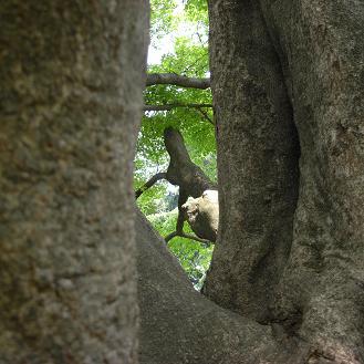 どこ見る?_d0113340_21333572.jpg