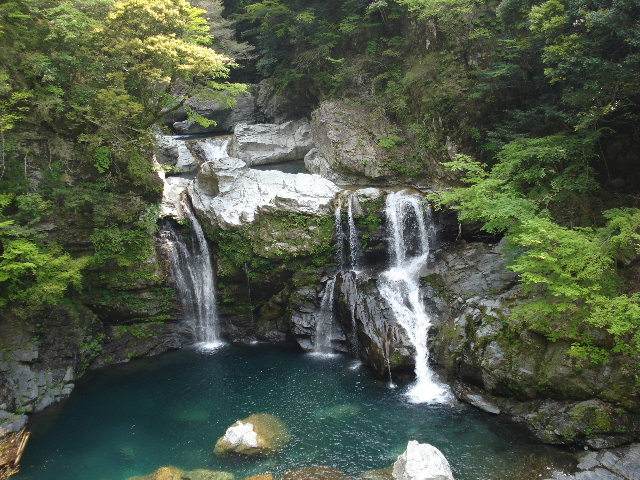 e0060041_77928.jpg