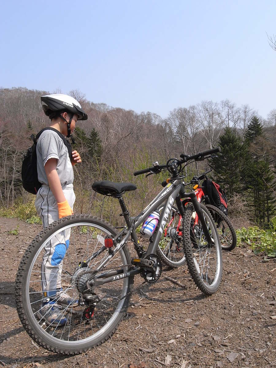 最近裏山の林道に自転車で登るのが_f0114954_232201.jpg