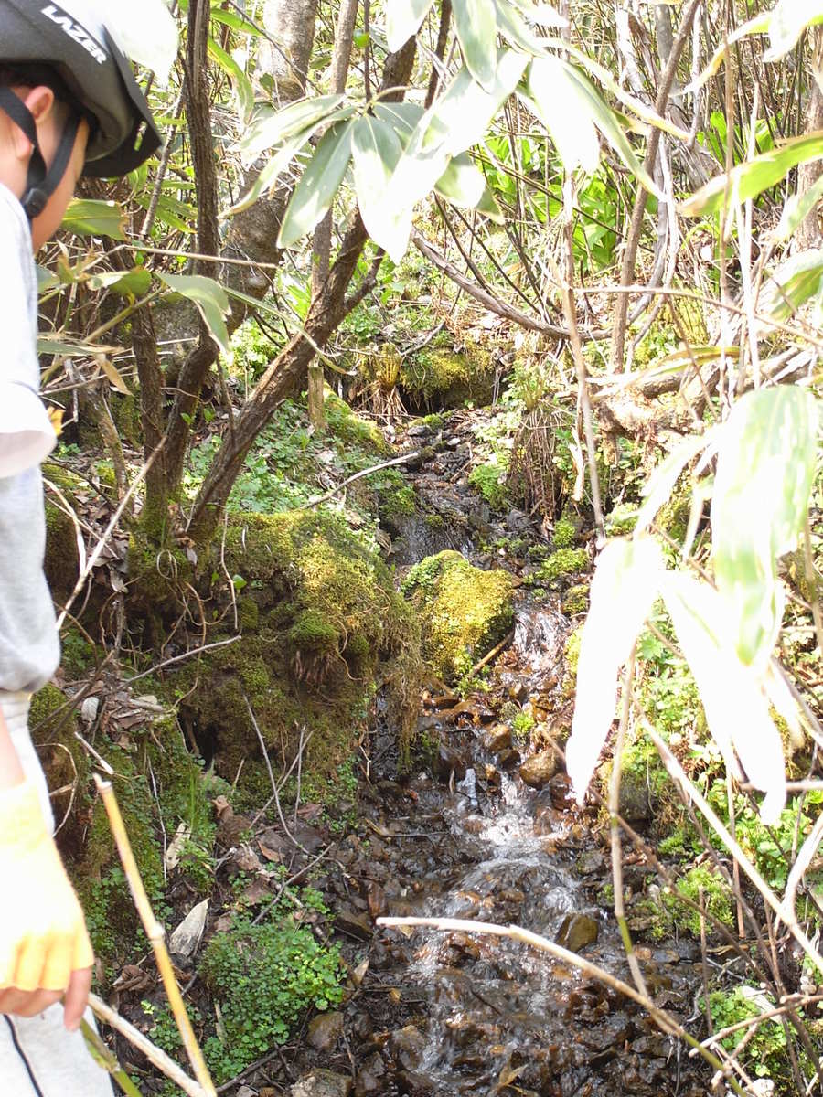 f0114954_238516.jpg