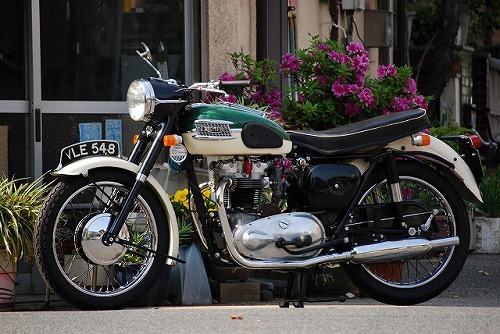 Triumph T110 (ワンテン)_f0164058_1601311.jpg