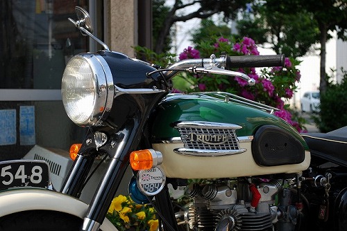 Triumph T110 (ワンテン)_f0164058_1603847.jpg