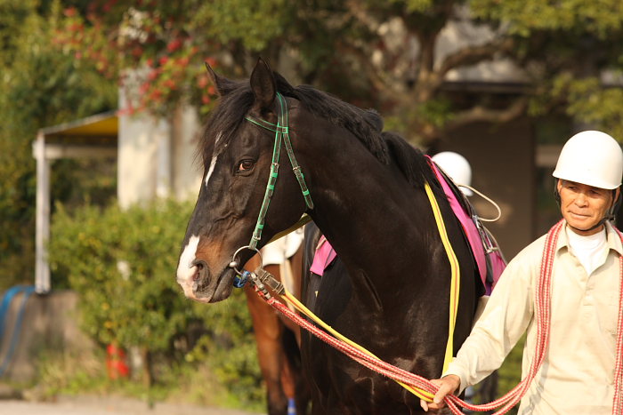 2008年4月27日（日） 高知競馬 11R_a0077663_124264.jpg