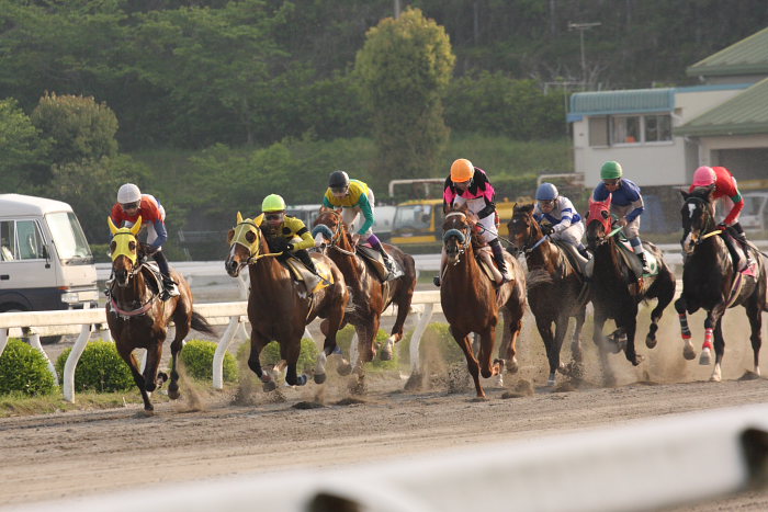 2008年4月27日（日） 高知競馬 11R_a0077663_1245721.jpg