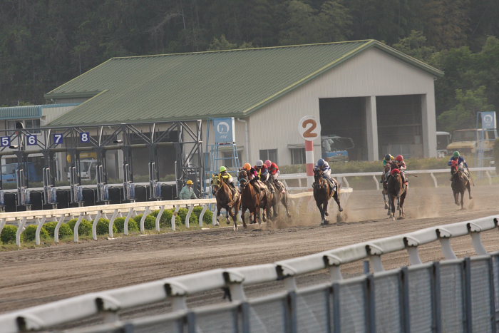 2008年4月27日（日） 高知競馬 11R_a0077663_1251283.jpg
