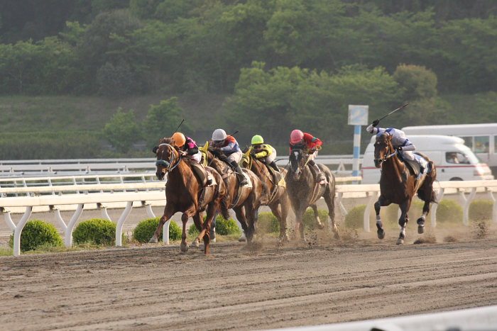 2008年4月27日（日） 高知競馬 11R_a0077663_1251984.jpg