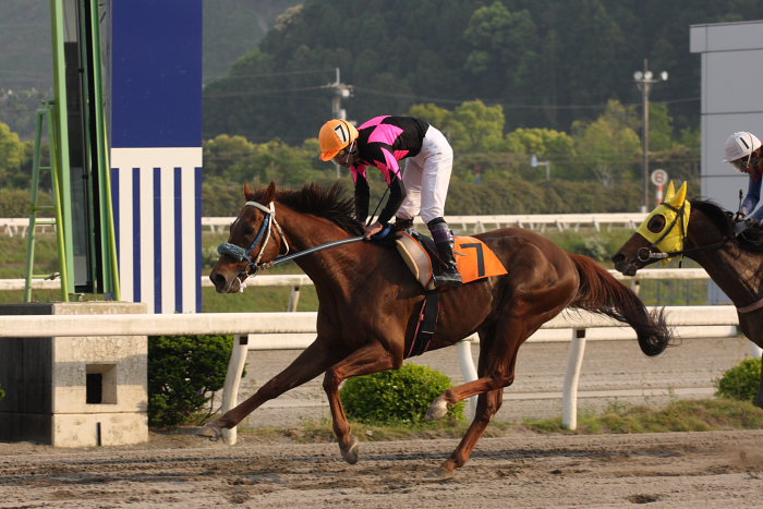 2008年4月27日(日) 高知競馬 11R_a0077663_1252720.jpg
